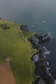 France, Seine Maritime, Pays de Caux, Cote d'Albatre, Etretat, the falaise d'Amont (Amont Cliff) (aerial view)