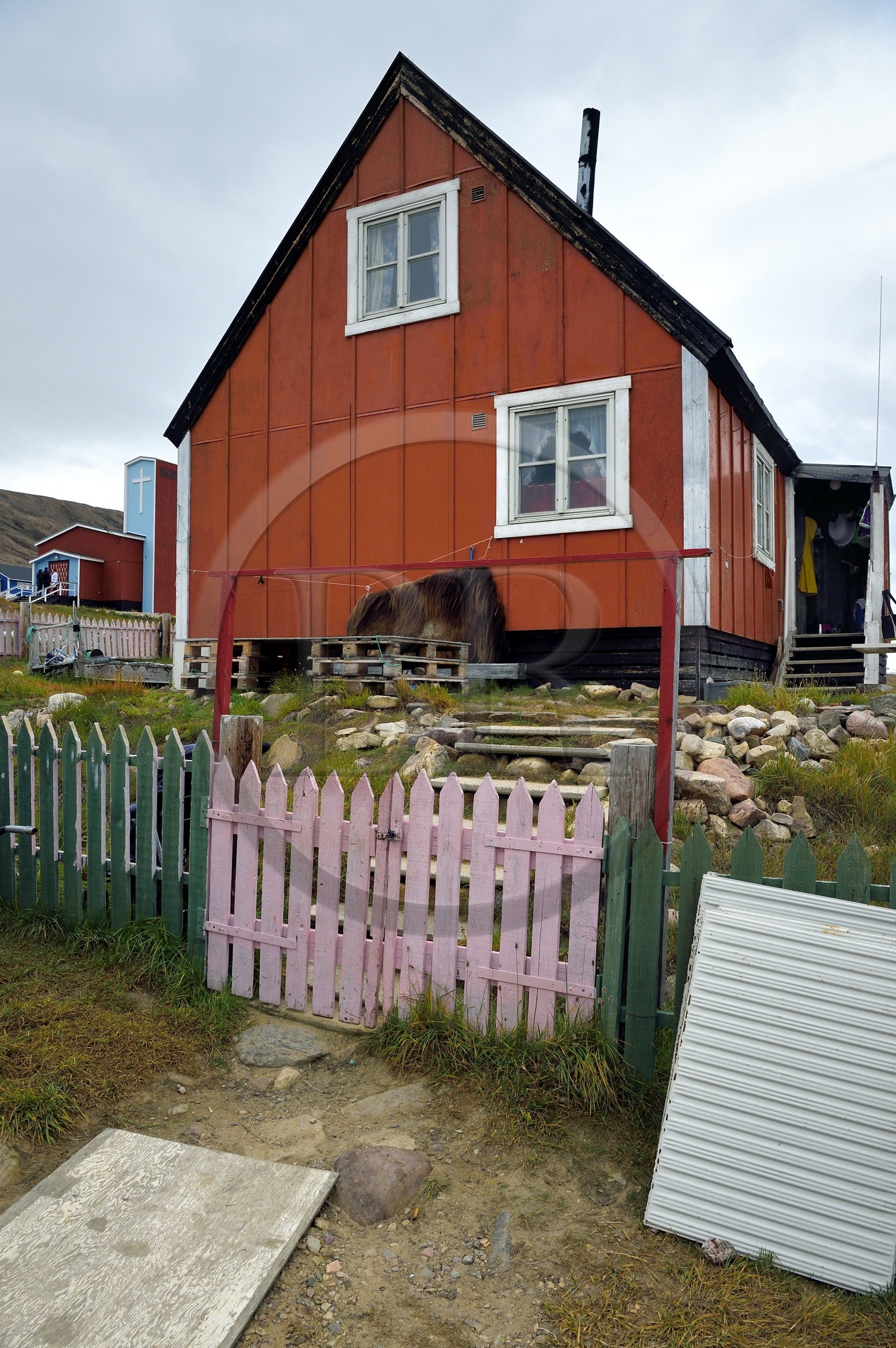 Greenland, North West coast, Qaanaaq or New Thule, muskox skin (Ovibos moschatus) drying in front of the house