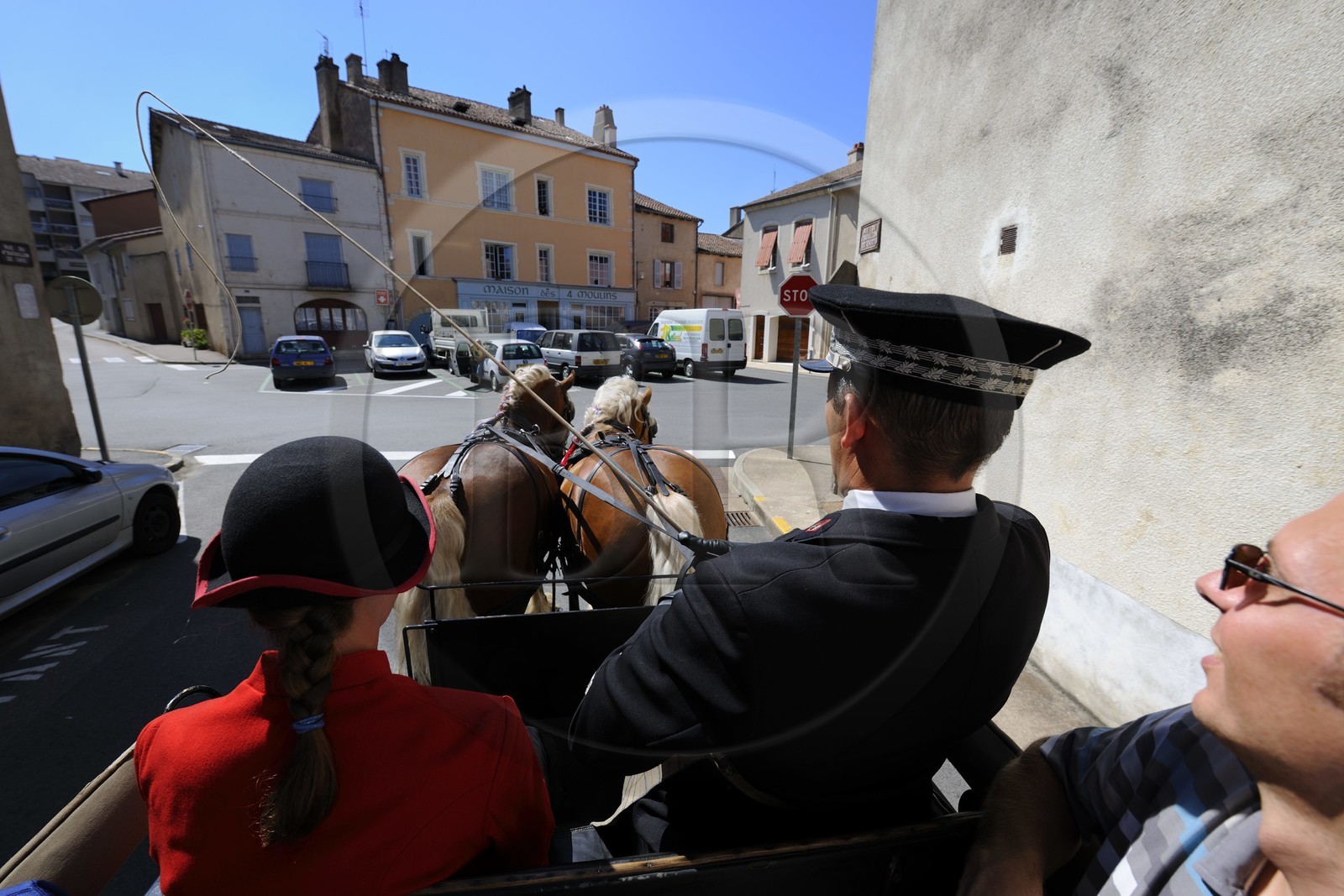 France, Saône et Loire (71), Cluny, attelage du Haras national