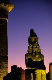 Egypt, Luxor, Luxor temple, the colossal statue of Ramses II at the entrance of the 2nd pylon