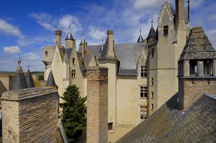 France, Maine et Loire, Chateau de Montreuil Bellay