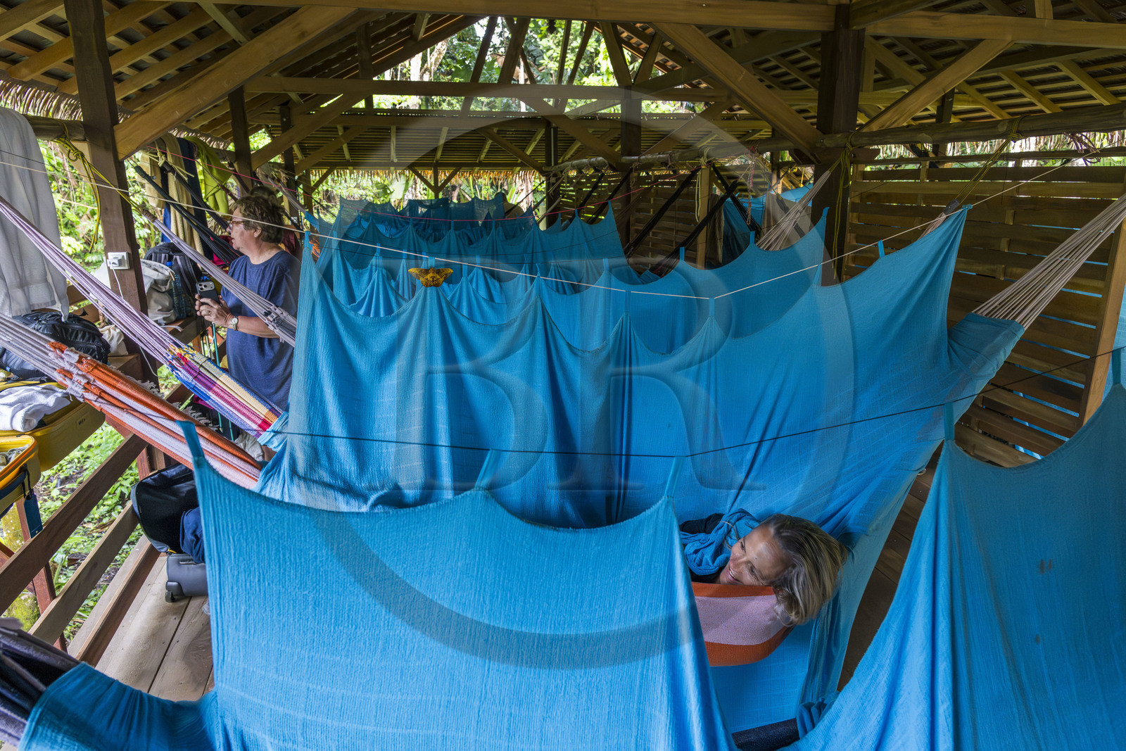 France, Guyane, Kourou, le carbet du Camp Maripas en bordure du fleuve Kourou, les hamacs suspendus sous la charpente