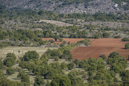 France, Herault, the Causses and the Cevennes, Mediterranean agro pastoral cultural landscape, listed as World Heritage by UNESCO, Saint Maurice Navacelles, cultivated field in a typical landscape of the Causse du Larzac