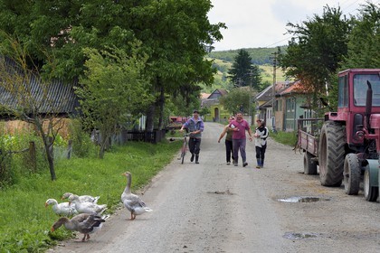Roumanie, Transylvanie, région de Sighisoara, rue principale de Movile