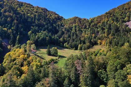 France, Haut-Rhin (68), Parc naturel r