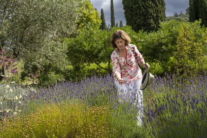 France, Alpes-Maritimes, Mouans-Sartoux, Gardens of the International Museum of Perfumery (Musée International de la Parfumerie - MIP), Corinne Marie-Tosello, a nose designer of olfactory workshops, invites us to discover a wide variety of fragrant plants