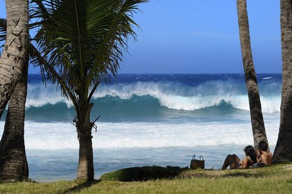 France, île de la Réunion, la côte sud, plage de Grand-Anse