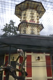 France, Ille-et-Vilaine, Rennes, Thabor Parc, the aviary (which also serves as a dove)