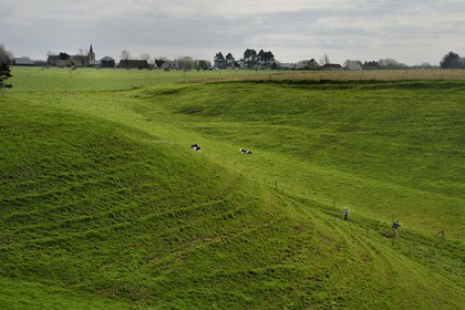 France, Seine-Maritime (76), Pays de Caux, Côte d'Albâtre, entre Etretat et Yport, randonneurs dans la valleuse de Bénouville