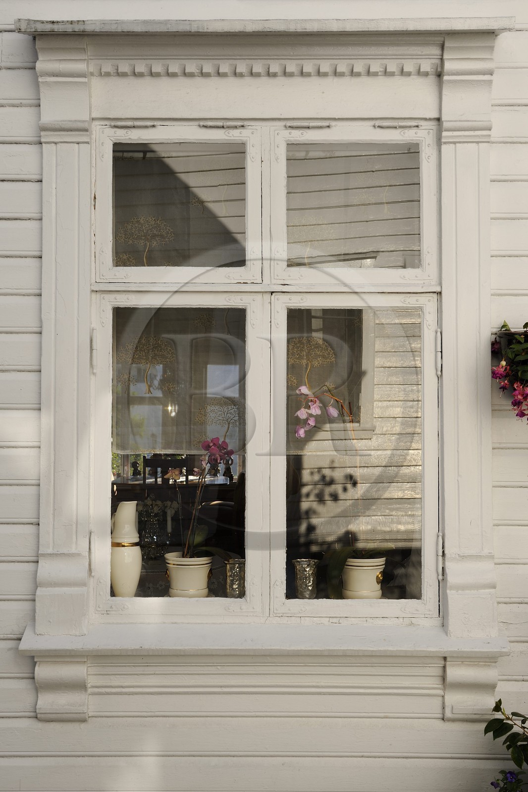 Norvège, Rogaland, Stavanger, maison en bois de la vieille ville