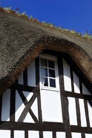 France, Seine-Maritime (76), Port Jumièges, maison normande à colombages
