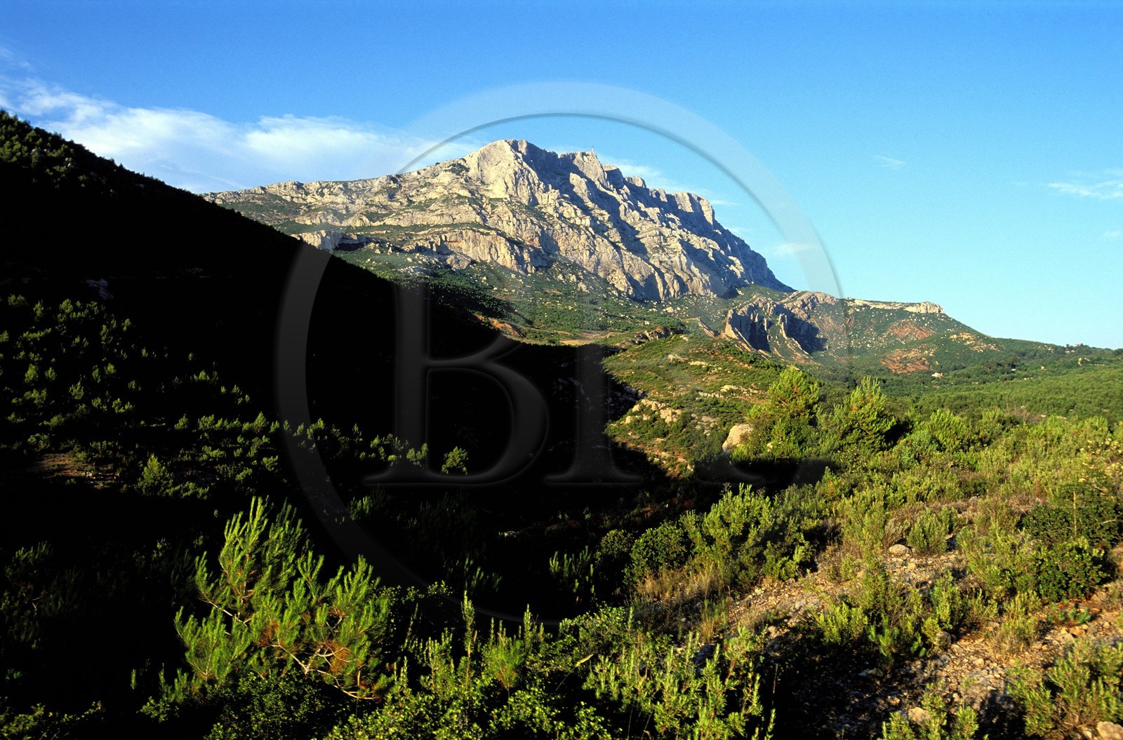 France, Bouches du Rhone, Montagne Sainte Victoire