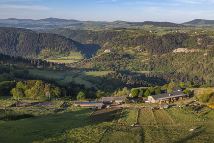 France, Haute-Loire (43), Saint-Martin-de-Fugères, MacQuart P.O.A. Ranch, pony of the Americas ( POA), hiking with a donkey on the Robert Louis Stevenson Trail (GR 70), the village and the castle of Goudet in the background (aerial view)