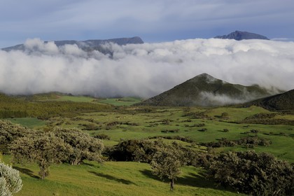 France, Ile de la Reunion, la Plaine des Cafres au pied des pentes du volcan du Piton de la Fournaise et l'ancien volcan du Piton des Neiges en arrière plan
