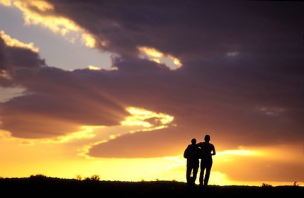 Tunisia, Southern Tunisia, region of Douz, sunset in the desert