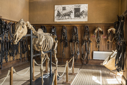 France, Vendee, La Roche-sur-Yon, honorary saddlery of the Haras de la Vendée, former national stud farm designed by Joseph Mallet (1846)