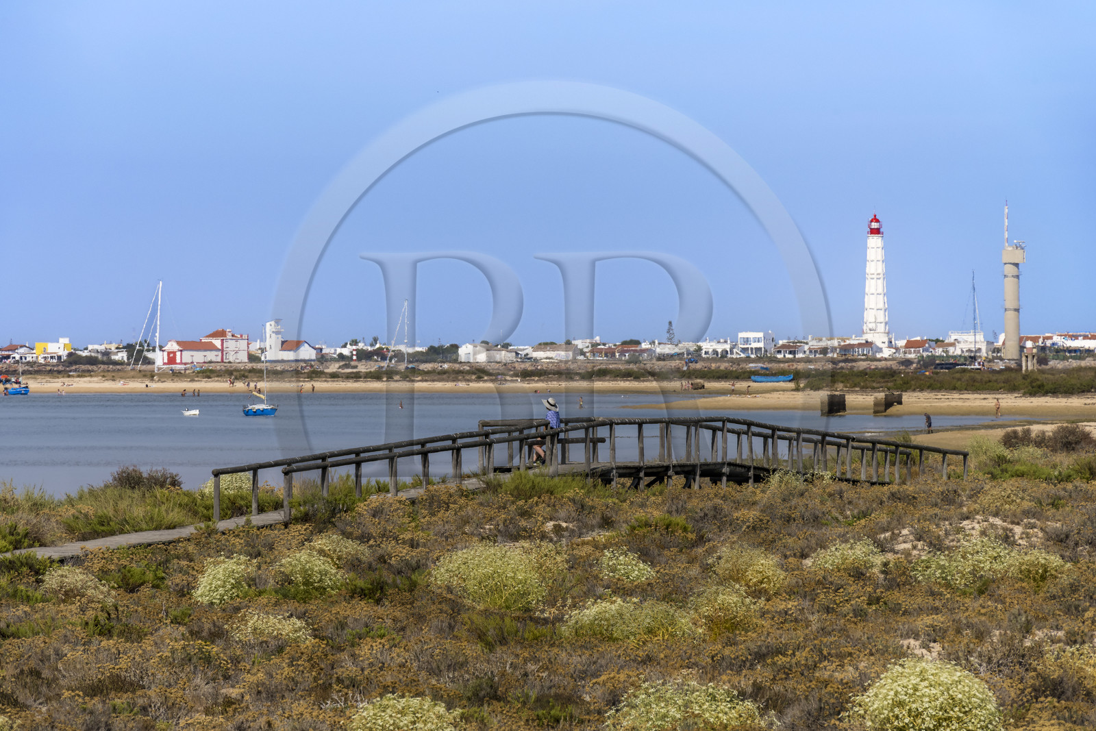 Portugal, Algarve, Parc naturel de la Ria Formosa, Faro, chemin de planches de bois sur l'Ile de Barreta ou Deserta (Ilha da Barretta ou Deserta), le phare de Ilha do Farol sur Ilha da Culatra en arrière plan Portugal, Algarve, Parc naturel de la Ria Formosa, Faro, chemin de planches de bois sur l'Ile de Barreta ou Deserta (Ilha da Barretta ou Deserta), le phare de Ilha do Farol sur Ilha da Culatra en arrière plan