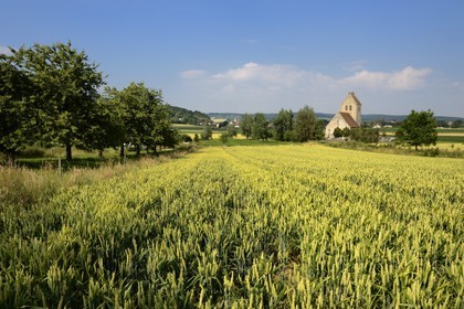 France, Haut Rhin, Sundgau, Oltingue, Saint-Martin-des-Champs church