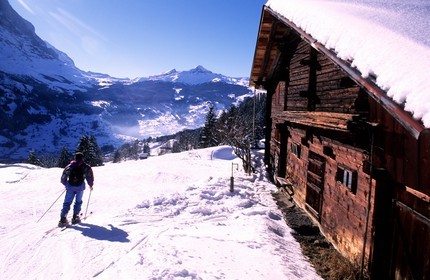 Switzerland, region of Bern (Bernese Oberland), Grindelwald, high mountain farm