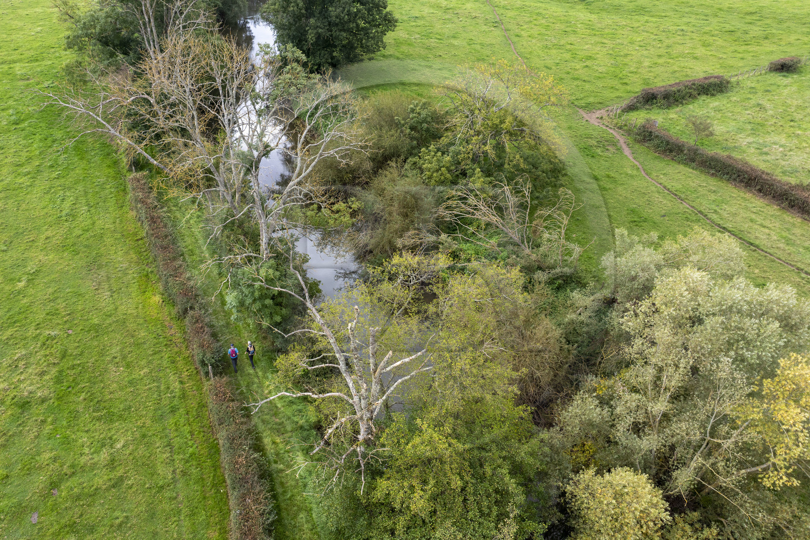 France, Yonne (89), Montréal (Bourgogne), randonneurs sur un chemin le long de la rivière Serein (vue aérienne)