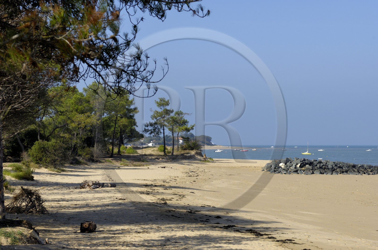 France, Charente-Maritime (17), ile de Ré, Les Portes-en-Ré, plage de Trousse-Chemise