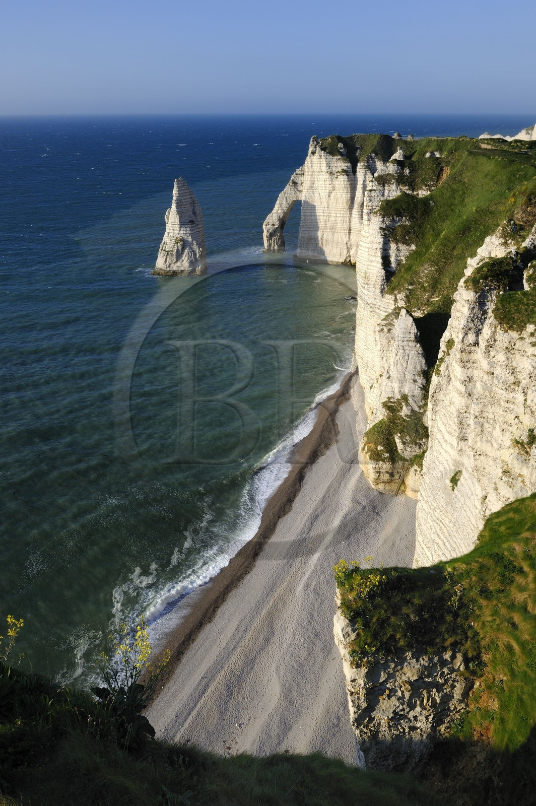 France, Seine-Maritime (76), Pays de Caux, Côte d'Albâtre, Etretat, la falaise d'Aval et l'Aiguille Creuse