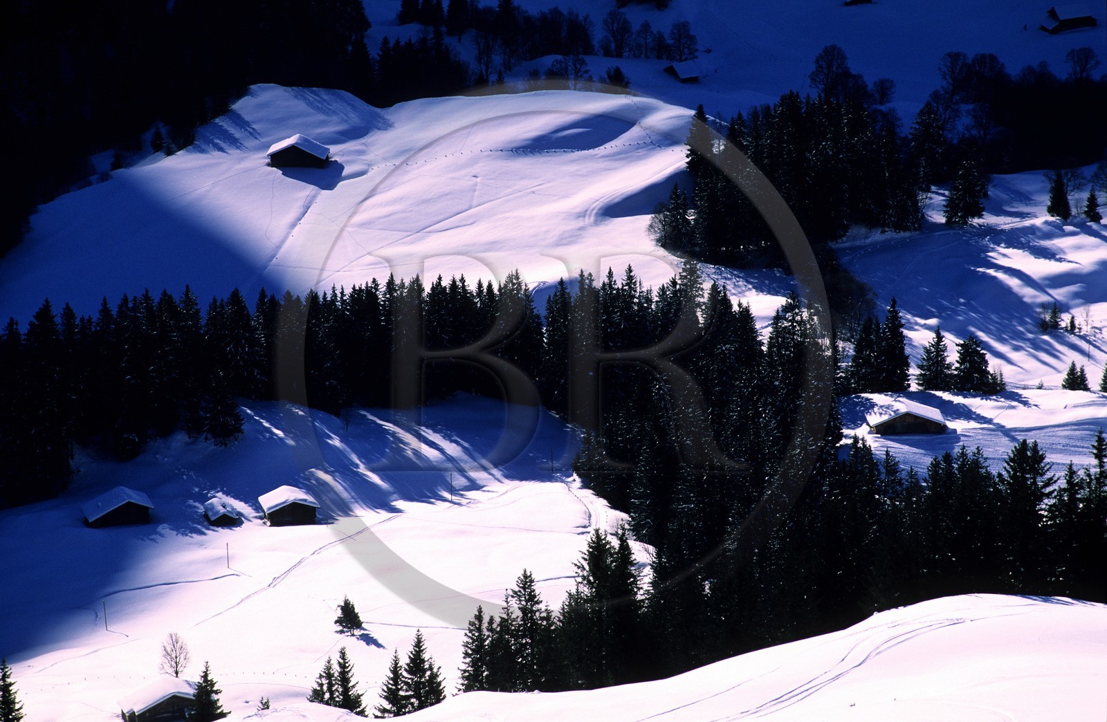 Switzerland, region of Bern (Bernese Oberland), Grindelwald