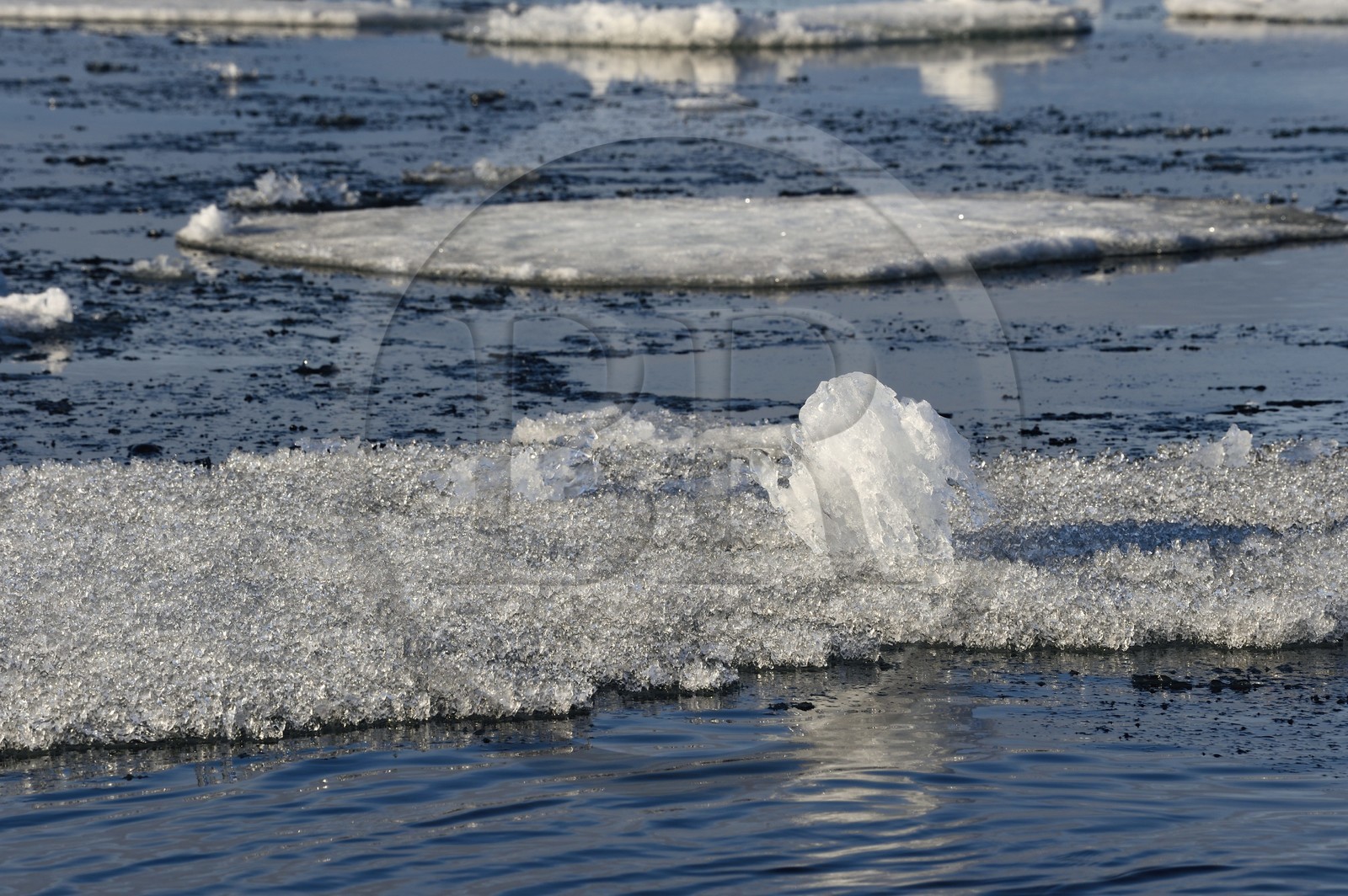 Groenland, cote Nord-Ouest, Smith sound au nord de la baie de Baffin, morceaux de glace de la banquise arctique en train de fondre (frasil)
