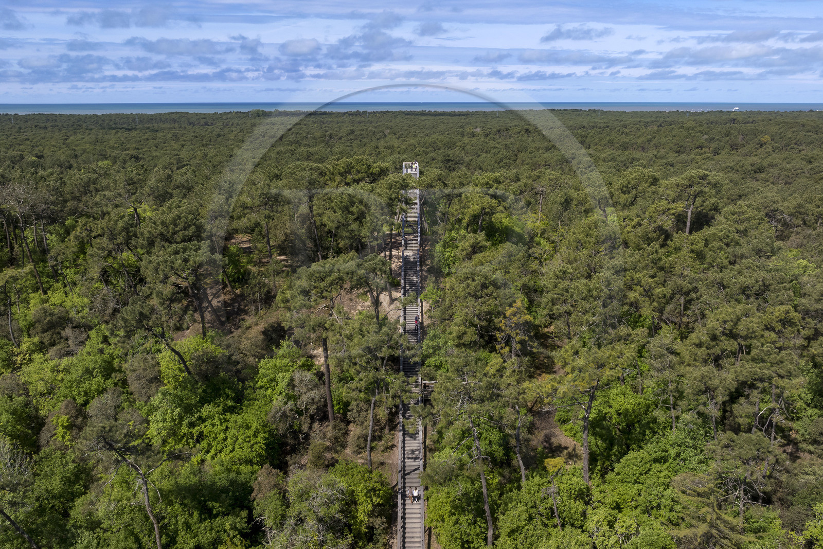 France, Vendée (85), La Barre-de-Monts, belvédère du Pey de la Blet, l'escalier dans le ciel au coeur de la forêt (vue aérienne)