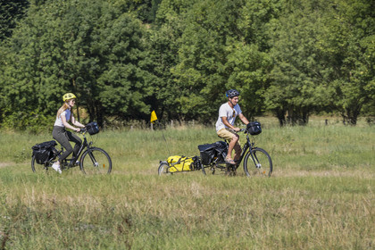 France, Maine-et-Loire, Loire valley listed as World Heritage by UNESCO, Saumur towards Saint-Hilaire, cycling on the banks of the Loire, bike with a trailer carrying camping equipment
