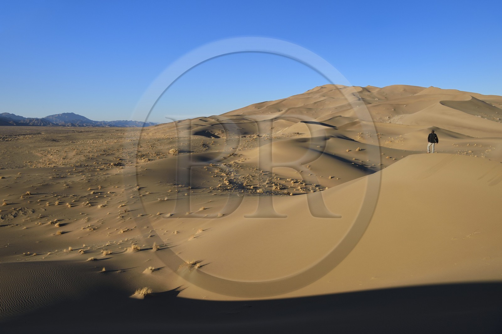Iran, Province de Yazd, désert du Dasht-e Kavir, Moghestan, randonnée dans le massif dunaire dont la plus haute dune atteint les 200 mètres