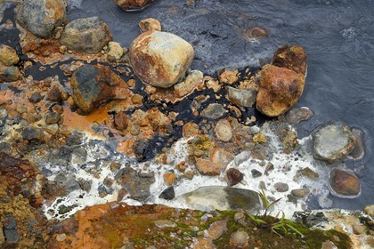 Caraïbes, Ile de la Dominique, Castle Bruce, Parc national du Morne Trois Pitons classé Patrimoine Mondial de l'UNESCO, la Vallée de la Désolation, rivière aux sources d'eau chaude dont la couleur unique est due à la présence de calcium, de carbone, de soufre et de fer, sur le sentier menant au Boiling Lake