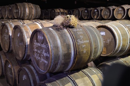 France, Charente (16), Cognac, les chais de vieillissement de la Maison de cognac Hennessy, tonneaux calligraphiés à l'ancienne à la craie