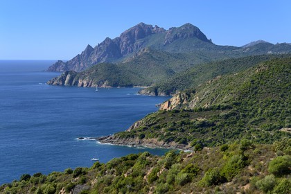France, Corse-du-Sud (2A), Golfe de Porto, classé Patrimoine Mondial de l'UNESCO, le Capo Senino