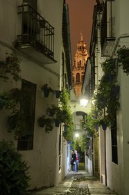 Spain, Andalusia, Cordoba, historical center listed as World Heritage by UNESCO, Juderia district, the calleja de las flores and the minaret of the Mezquita (Mosque-cathedral) in the background