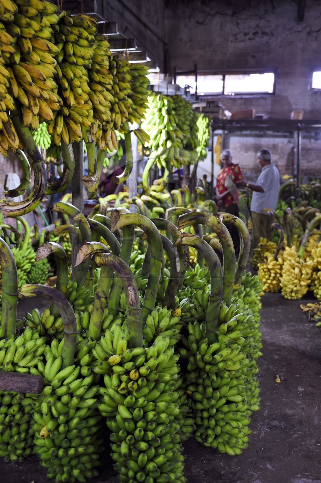 Sri Lanka, province de l'ouest, district de Colombo, Colombo, le marché de fruits et légumes Manning dans le quartier de Pettah