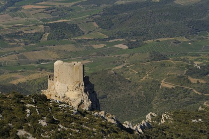 France, Aude, Cathar castle of Queribus (aerial view)