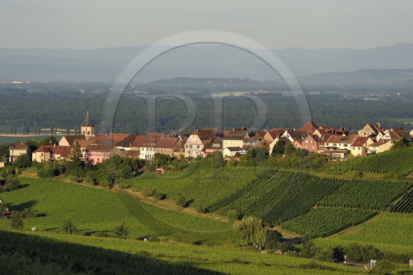 France, Haut-Rhin (68), Route des vins d'Alsace, le village de Zellenberg