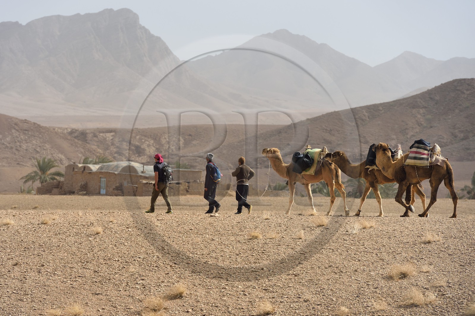 Iran, Province d'Ispahan, désert du Dasht-e Kavir, le désert vers l'oasis d'Arousan dans la région de Khur et Biabanak
