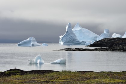 Greenland, west coast, Disko Island, Qeqertarsuaq village bay, icebergs in the mist