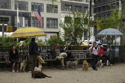 Etats-Unis, New York, Manhattan, parc à chiens de Union square
