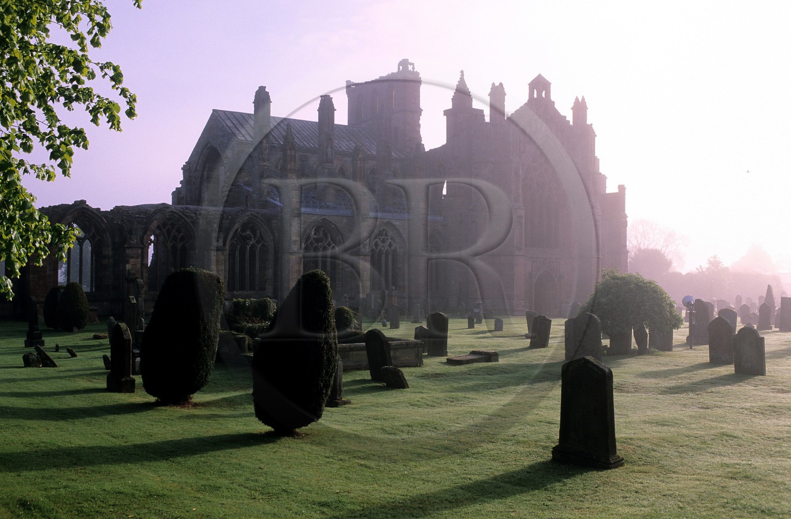 Royaume-Uni, Ecosse, région des Borders, ruines de l' abbaye de Melrose