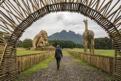 Rwanda, Province du Nord, Musanze District, Kinigi, QG du Parc National des volcans, lieu de dénomination des gorilles (Kwita izina - KinigiKong) l'année de leur naissance