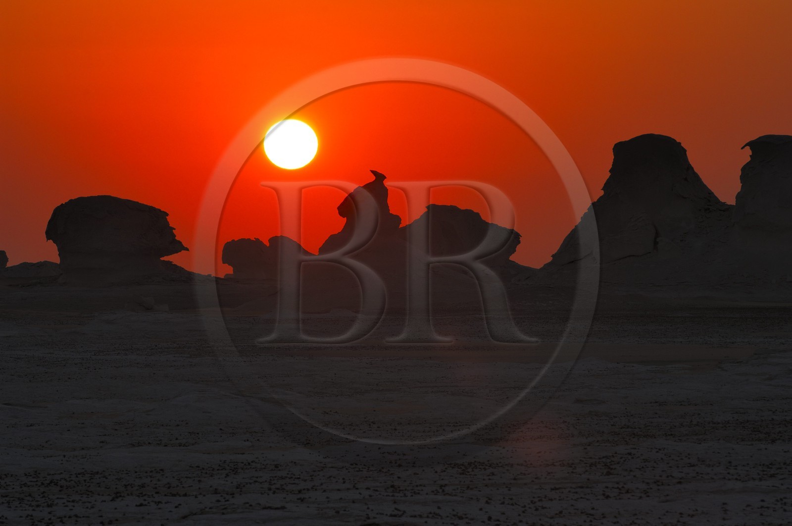 Egypte, désert libyque, le Désert Blanc au nord de Farafra