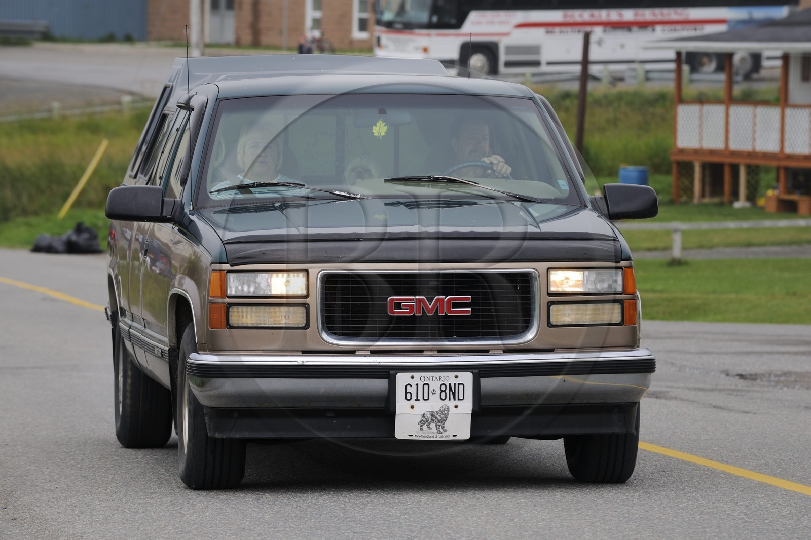 Canada, province de Terre-Neuve et Labrador, Ile de Terre-Neuve, fjord de Corner Brook sur les traces du capitaine Cook, 4x4