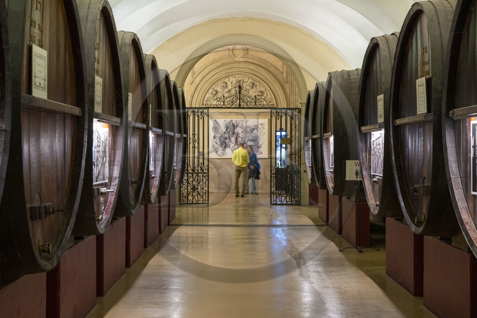 France, Côte-d'Or (21), les climats de Bourgogne classés Patrimoine Mondial de l'UNESCO, Beaune, les caves de la Maison Patriarche, société viticole de négociant-éleveur, parsemées d'oeuvres d’art contemporain de la galerie In Situ, Une Cartographie du Silence (2022) de l'artiste Géraud Vogt