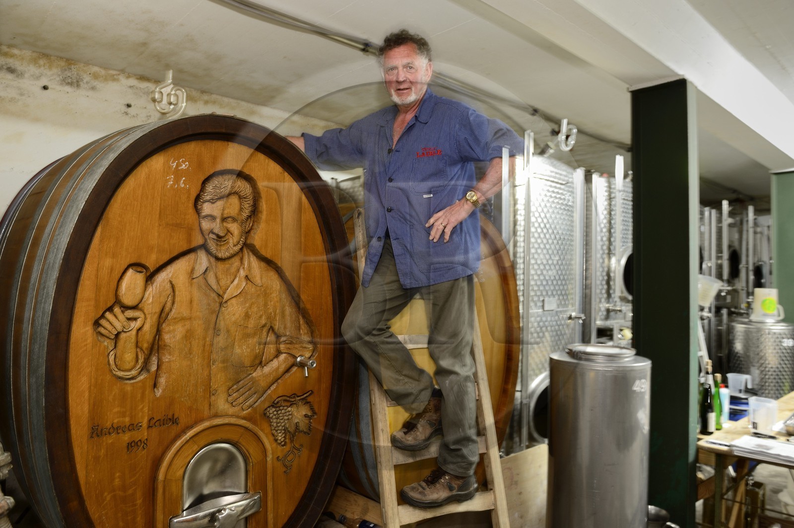 Allemagne, Bade-Wurtemberg, le vignoble à Durbach, l'établissement vinicole Weingut Laible, Andreas Laible