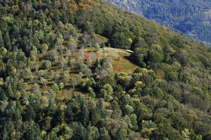 France, Haut Rhin, Ballons des Vosges Regional Natural Park, Rimbach pres Masevaux, small meadow called chaume (extensive altitude grazing) over the Lac des Perches