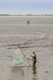 France, Charente Maritime, Port-des-Barques, hand net fisherman and cyclist using the Passe aux Boeufs tombolo which connects the continent to Ile Madame with rising tide in the background