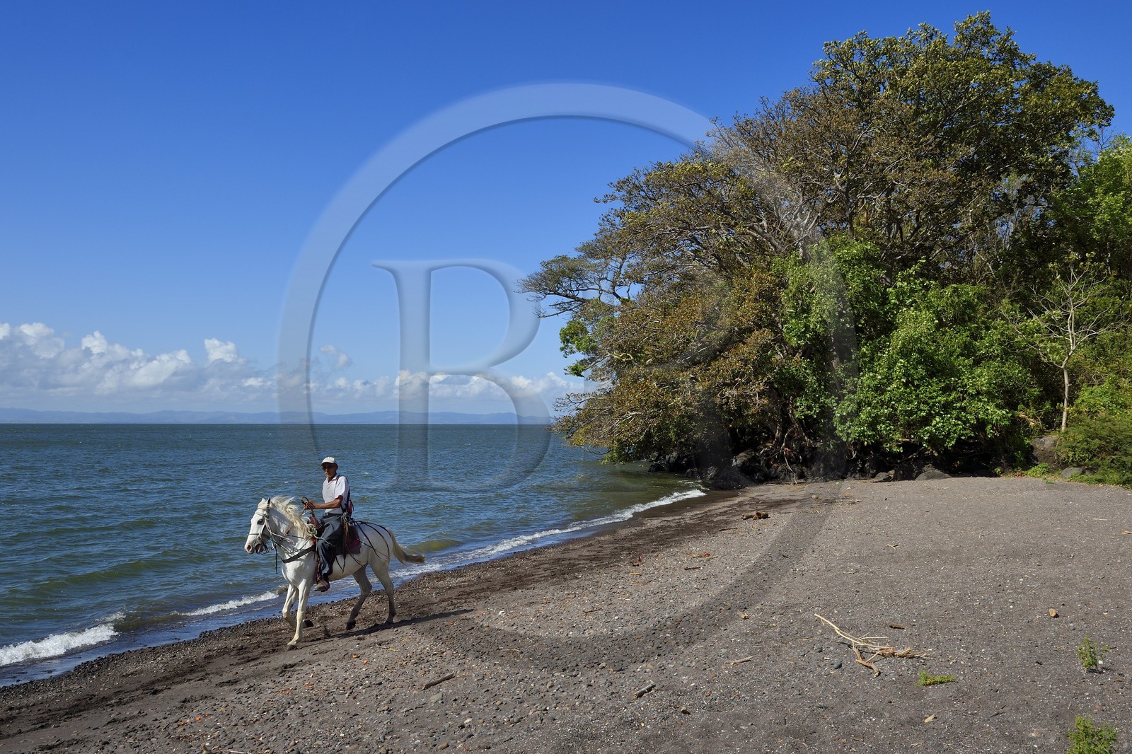 Nicaragua, Ile d'Ometepe sur le lac Nicaragua, cavalier en randonnée en bordure du lac